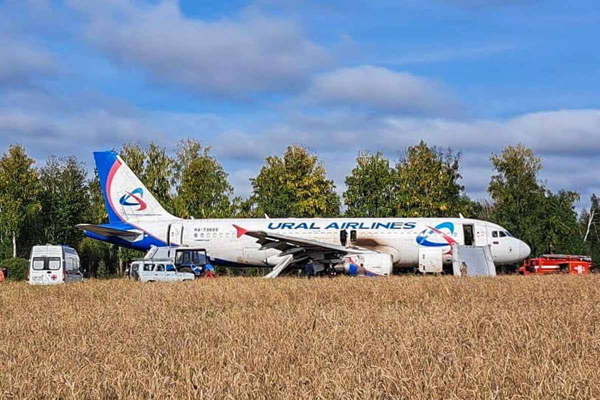 Airbus A Da Empresa Russa Ural Airlines Fez Pouso De Emerg Ncia Na