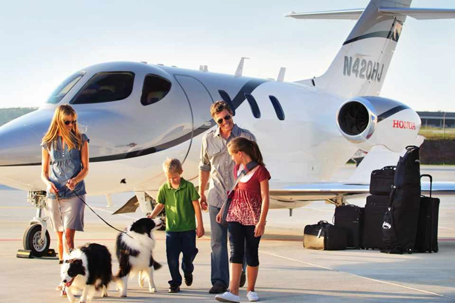 Até o Rex pode viajar no HondaJet