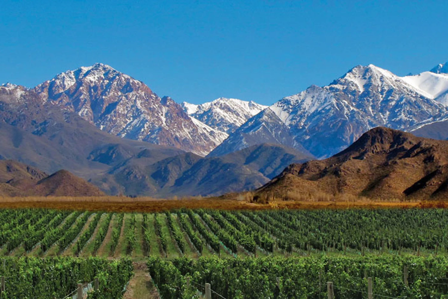 Mendoza fica no "pé" da Cordilheira dos Andes. Do outro lado é o Chile.