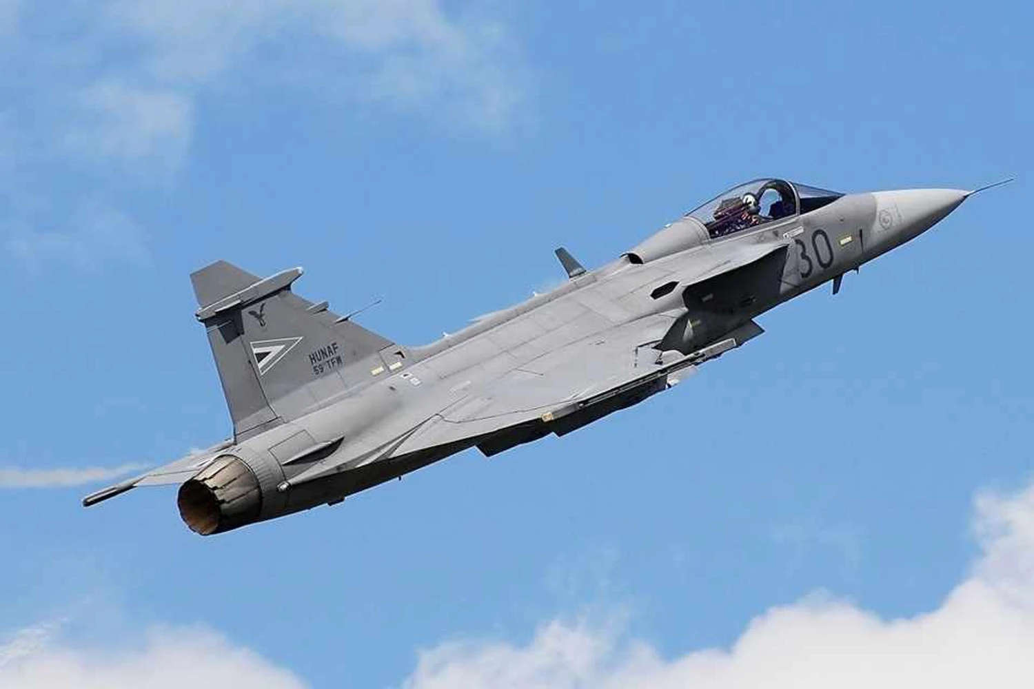 Caça Gripen da Hungria (Foto -Pablo Ignacio Blanco)