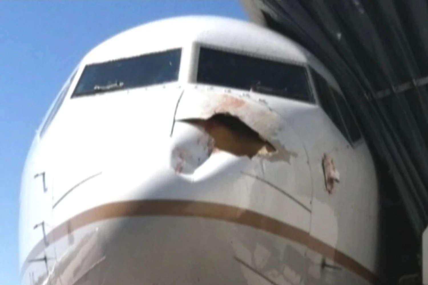 Apesar de pequenos, pássaros podem causar grandes danos a uma aeronave (Foto - Foxnews)