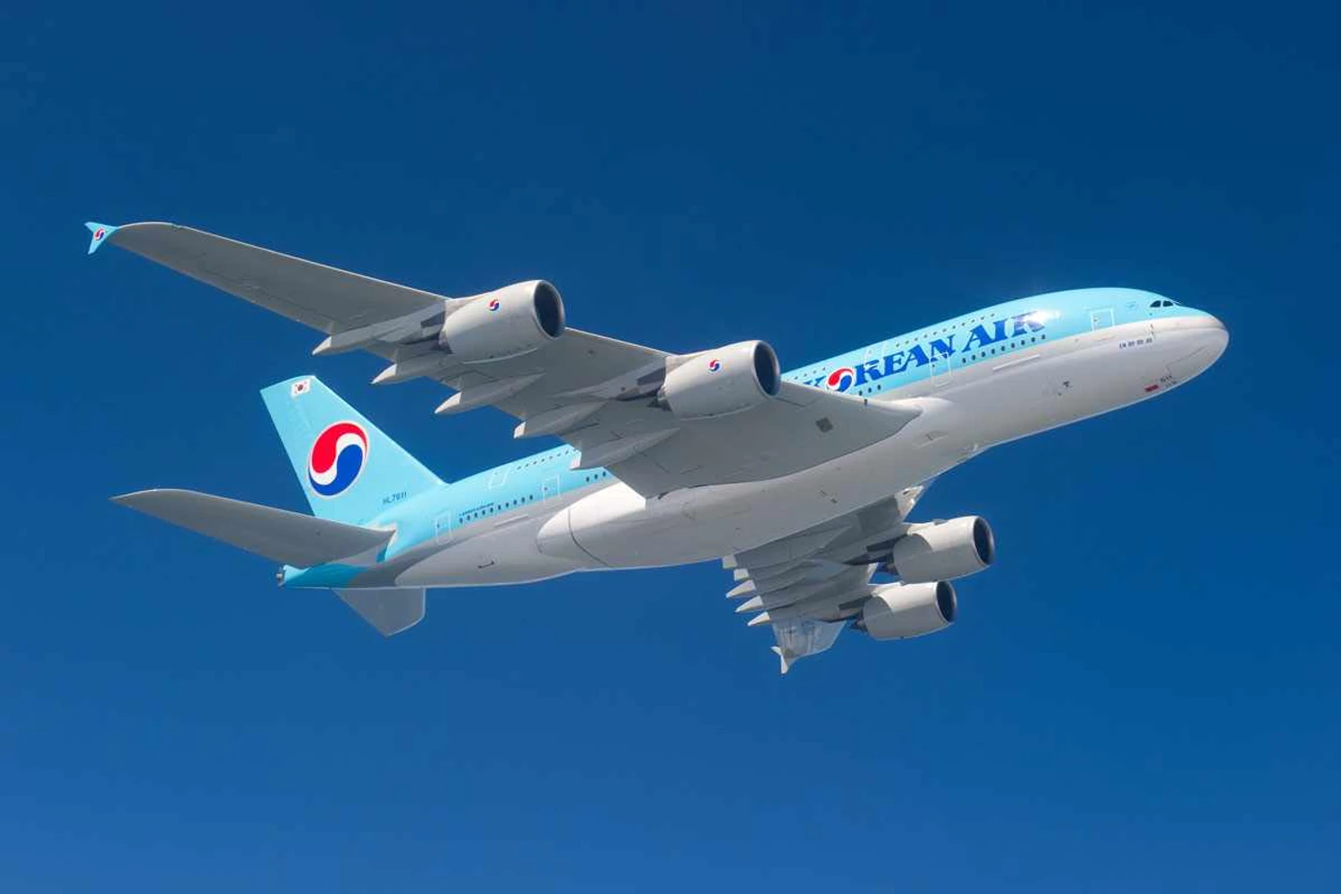 Airbus A380 tem elementos inspirados na natureza