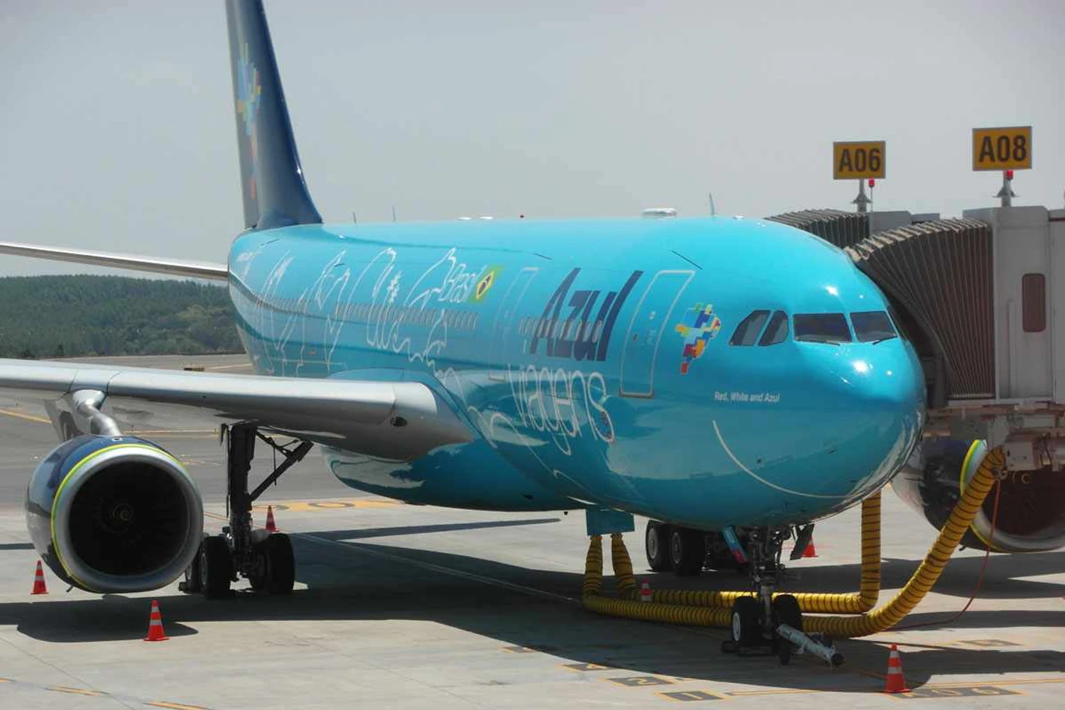 Azul anuncia novo voo entre Belo Horizonte e Fort Lauderdale