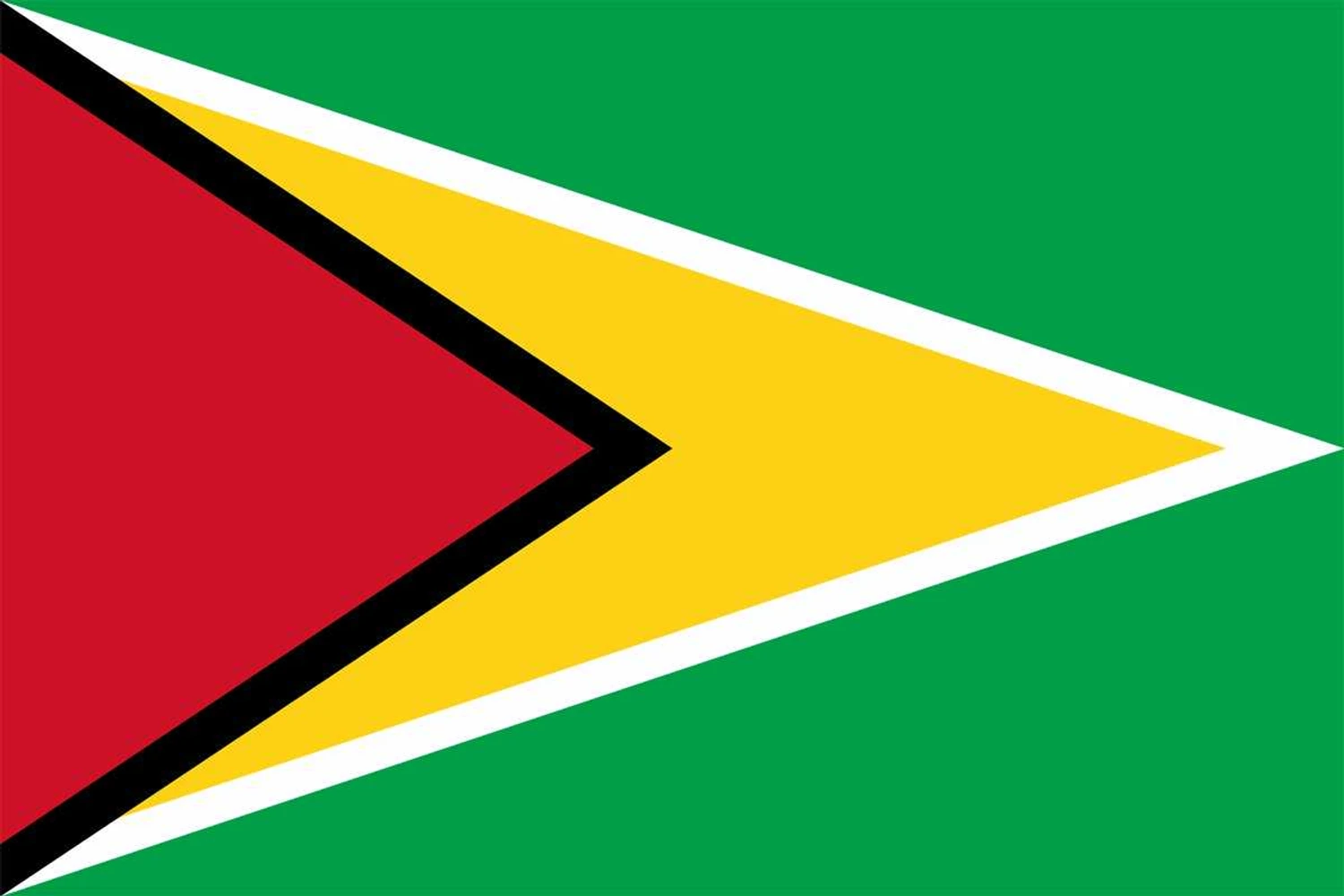 Bandeira da Guiana