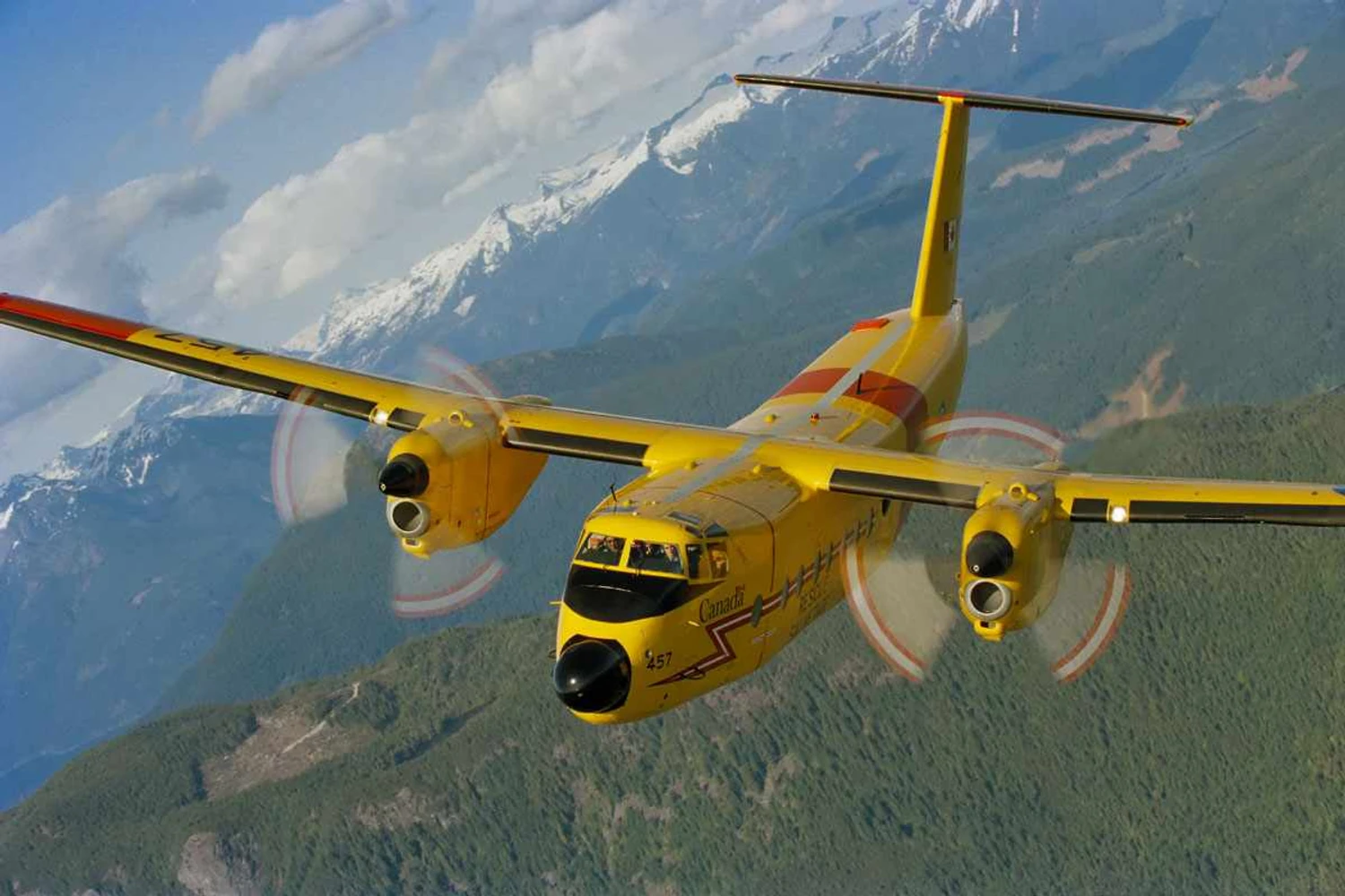 O Canadá está em busca de uma aeronave para substituir o veterano Buffalo (RAFC)