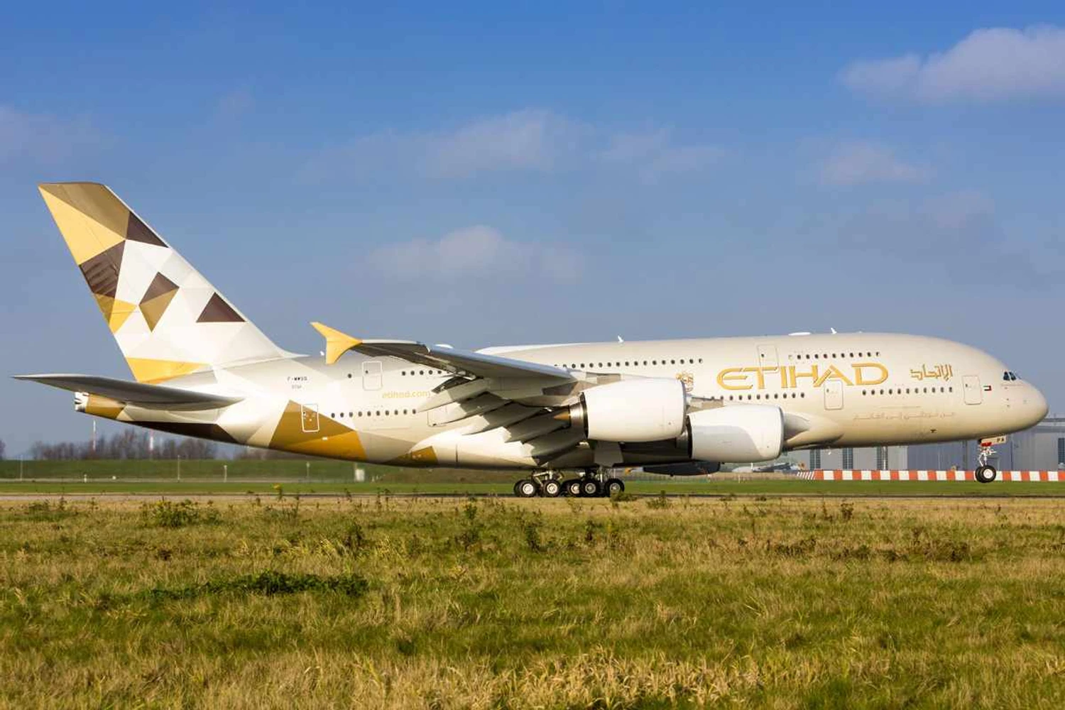 "Estrela" do Golfo Pérsico, Etihad Airways vê futuro em risco