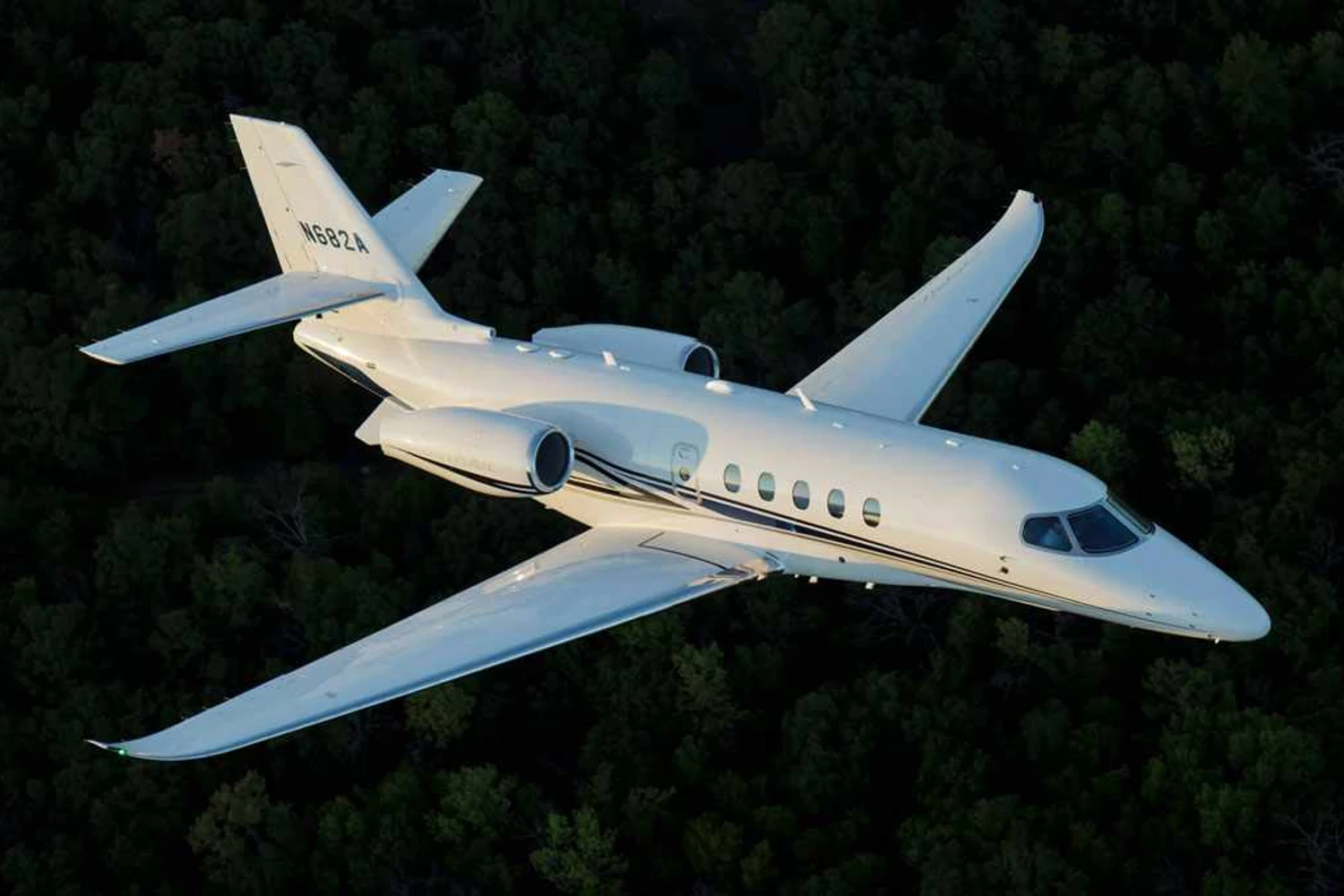 O Cessna Latitude pode voar com até 15 passageiros (Divulgação)