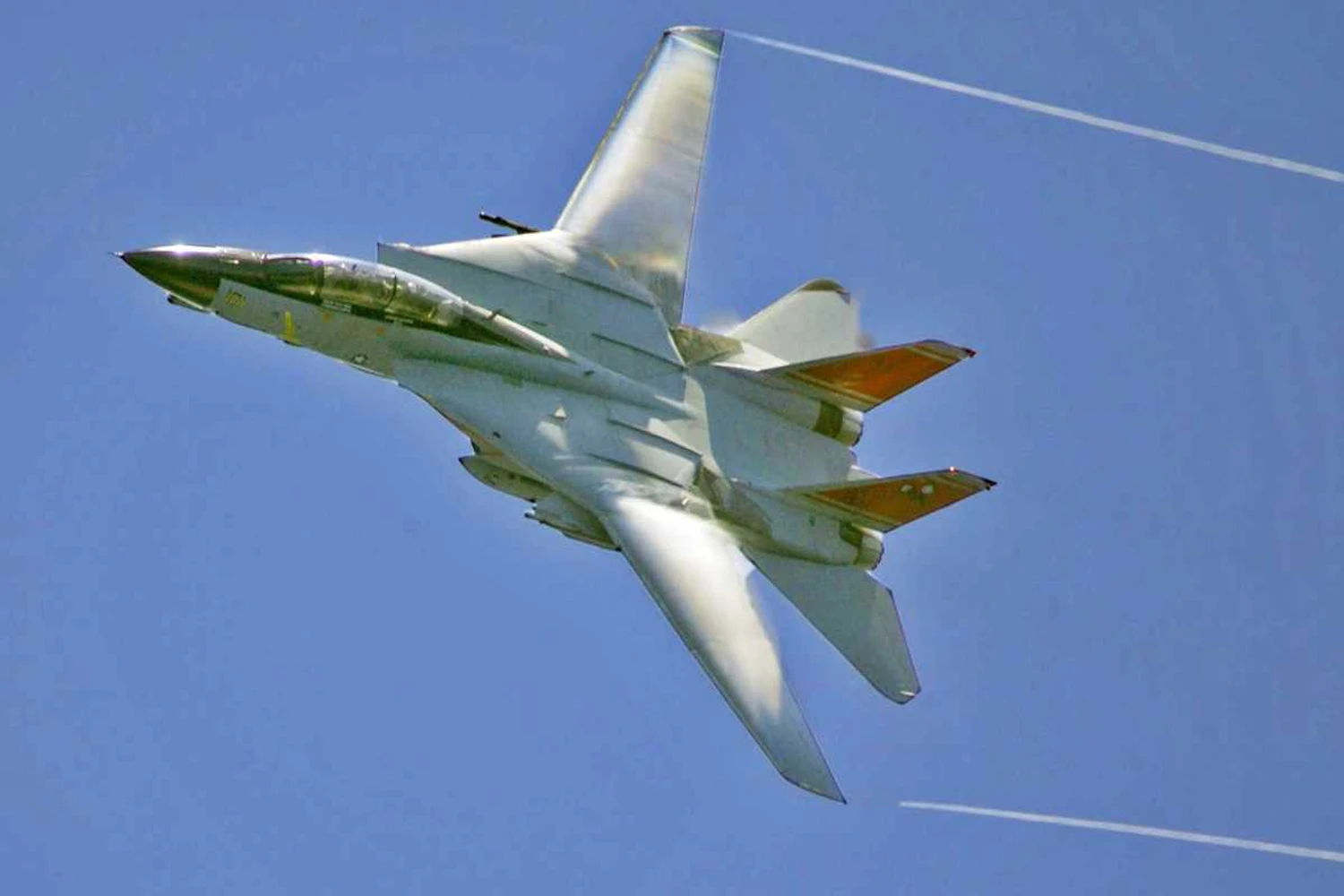 Os 50 anos do F-14 Tomcat, um dos mais icônicos caças da história