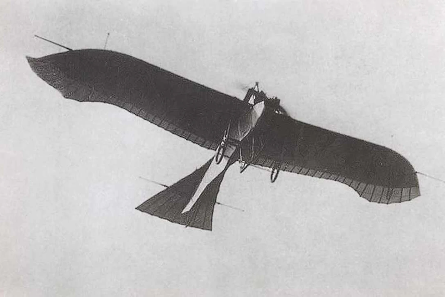 O exército italiano também estava equipado com o Taube, usado em missões de bombardeiro (Domínio Público)