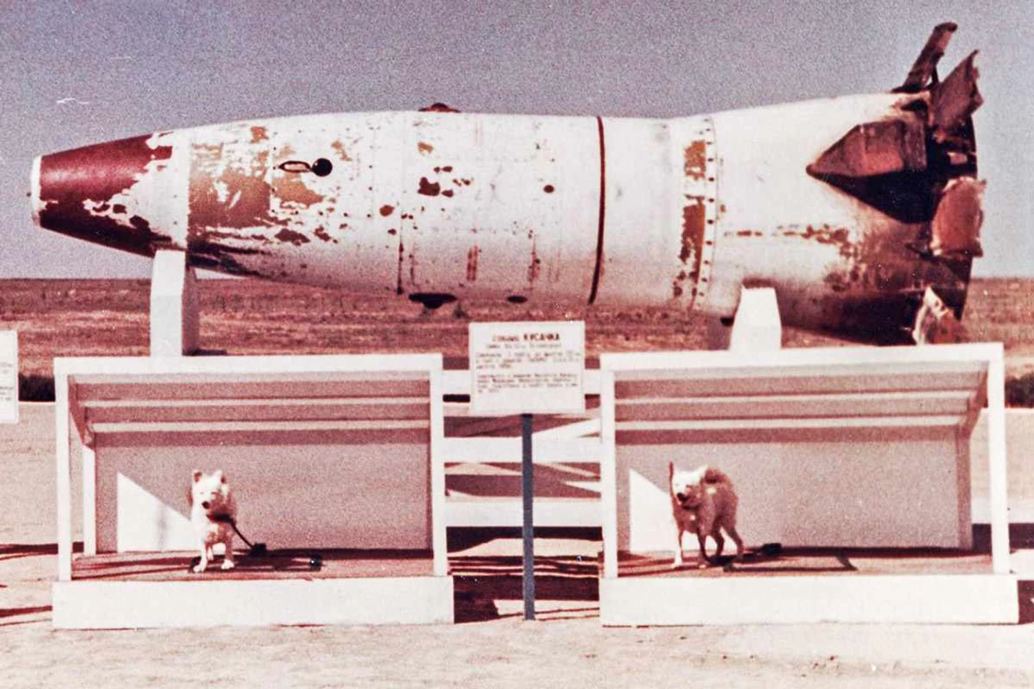 Foguete e cachorros usados nos primeiros lançamentos ao espaço dos russos: Área 51 soviética? (Ministério da Defesa da Rússia)