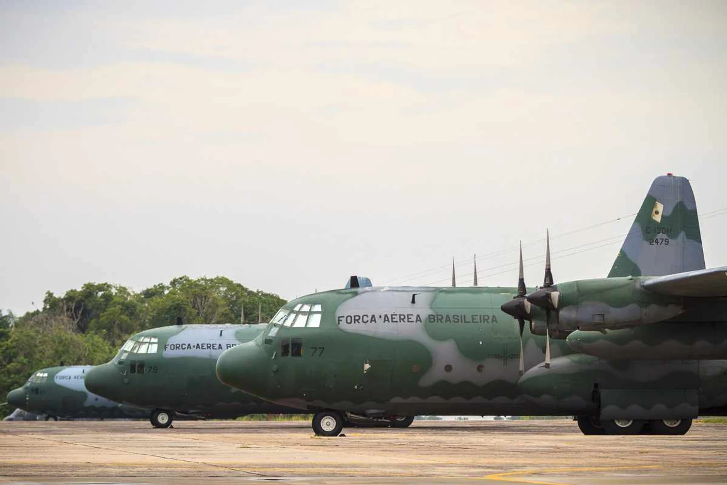 O Esquadrão Gordo é conhecido por suas operações com o turboélice C-130 Hercules (FAB)