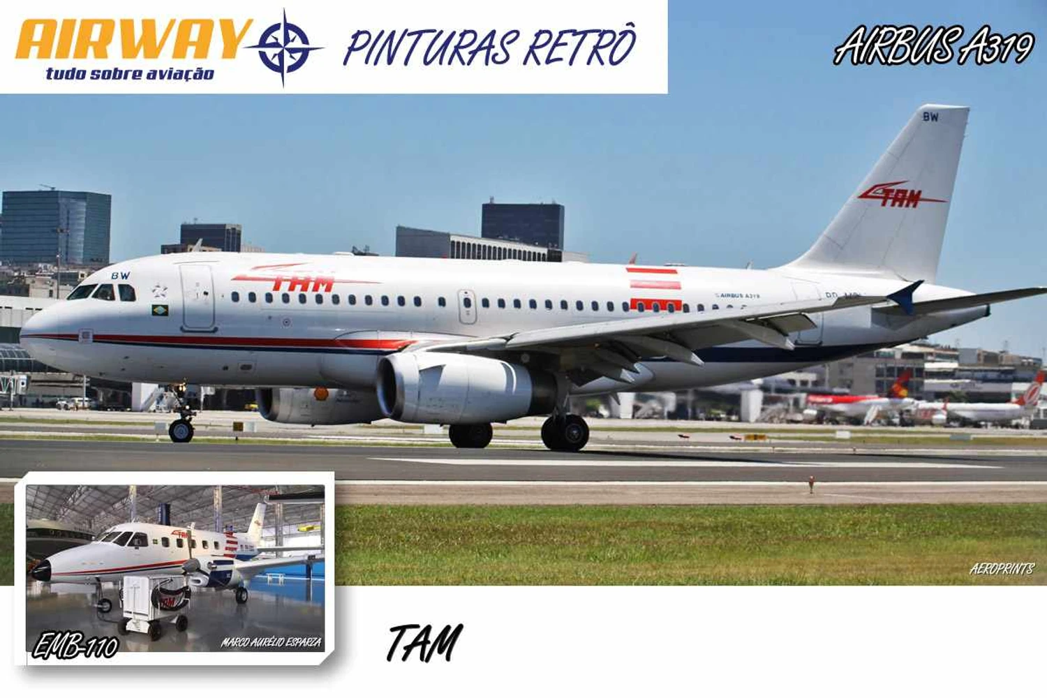 A TAM lançou o programa Vintage, que pintou dois A319 com esquemas antigos