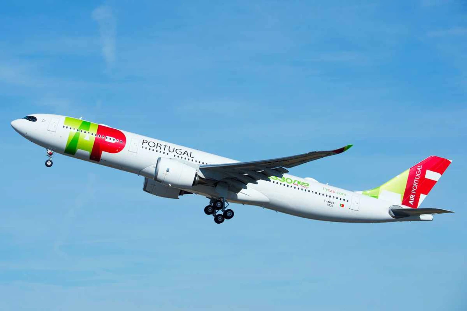 TAP deve ter maior frota de aviões de sua história até o final de 2026