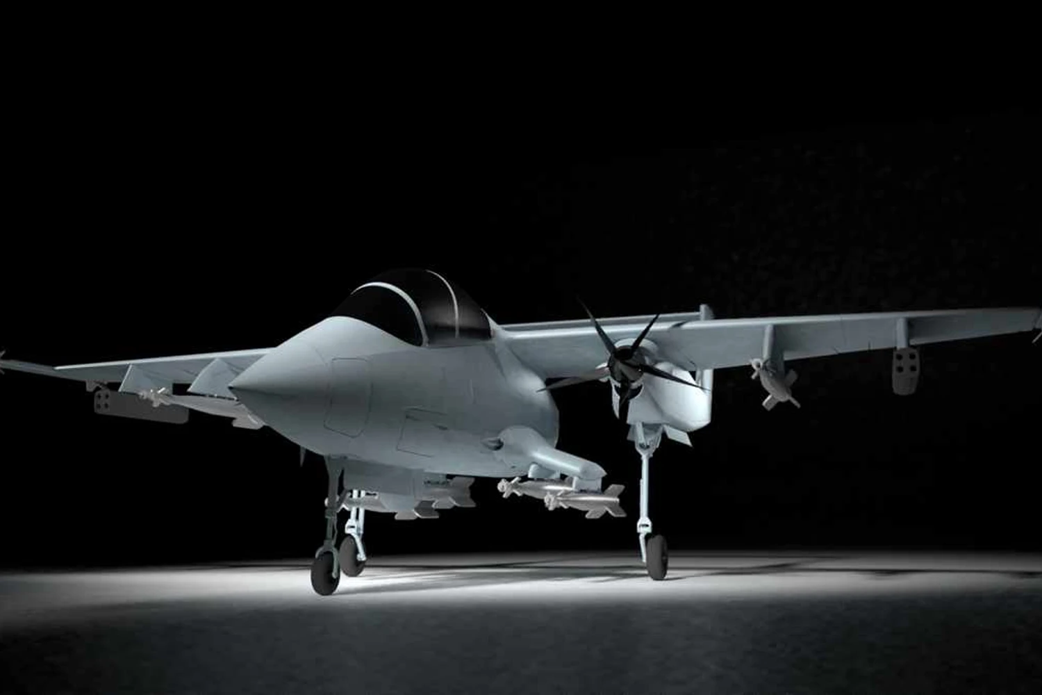 Akaer_mosquito_03