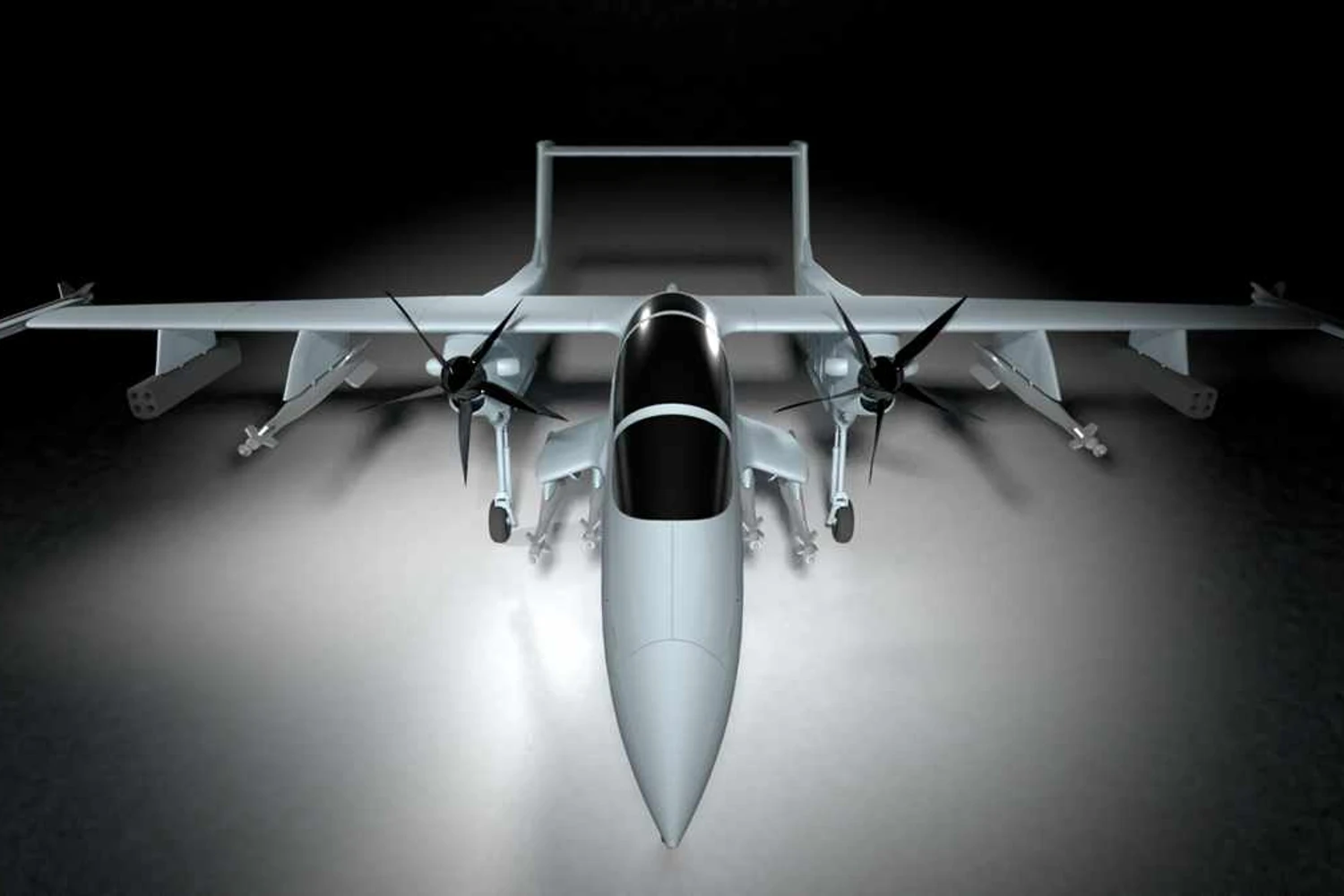 Akaer_mosquito_05