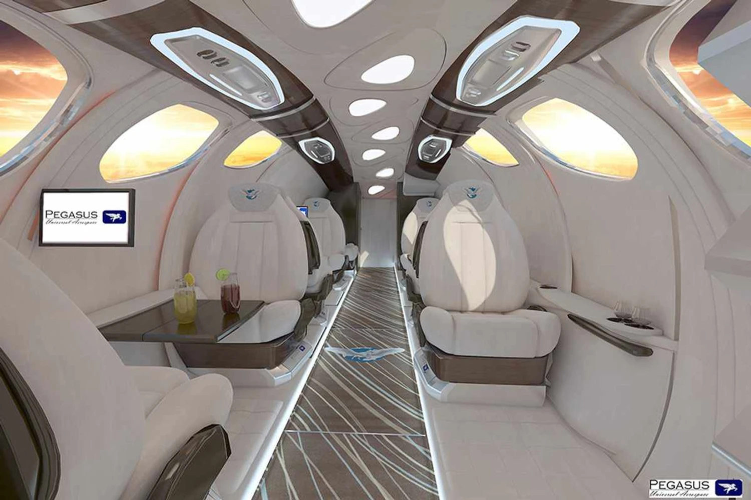 Interior do VBJ1 será espaçoso, promete Pegasus