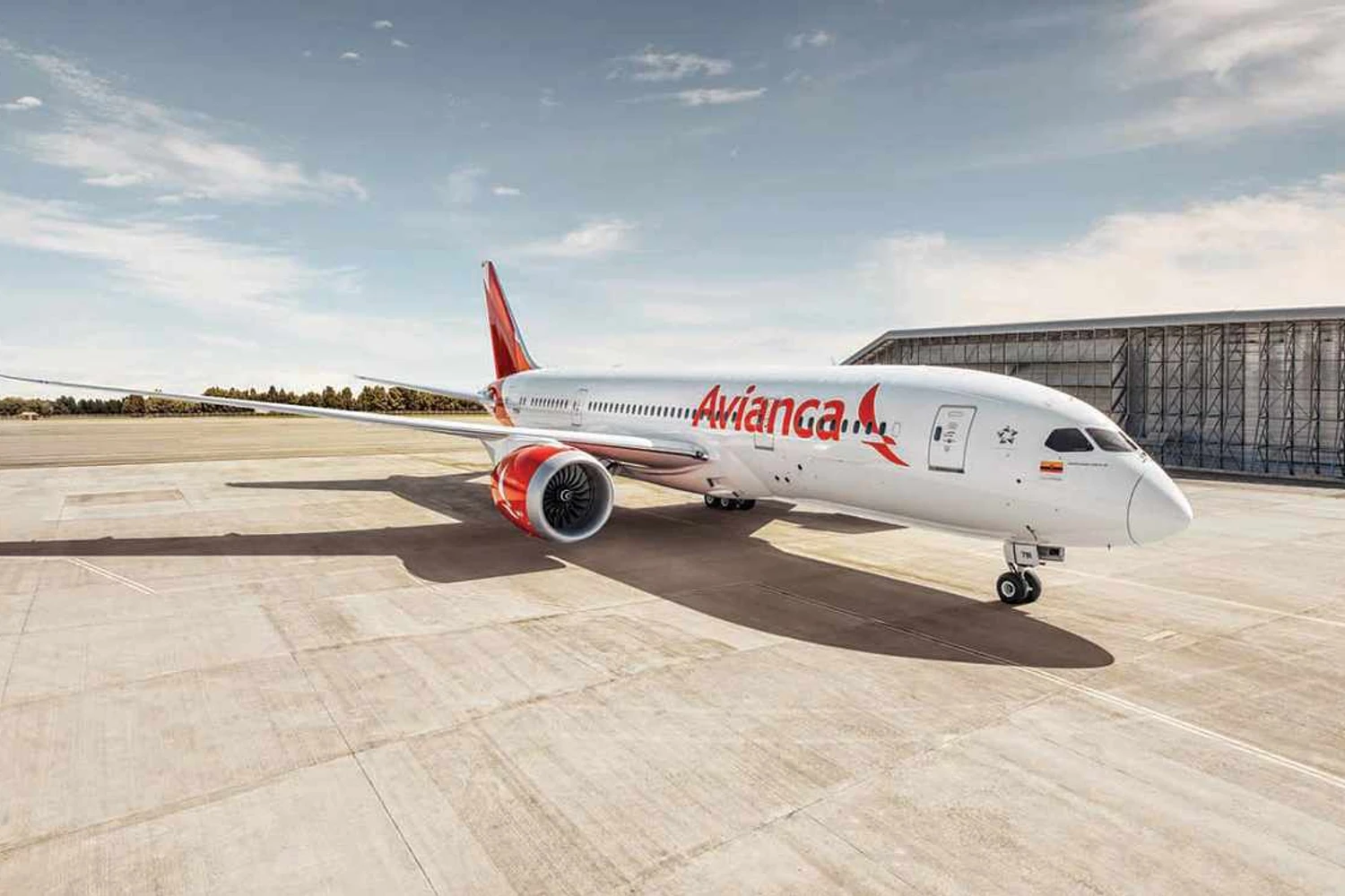 Boeing 787 da Avianca (Divulgação)