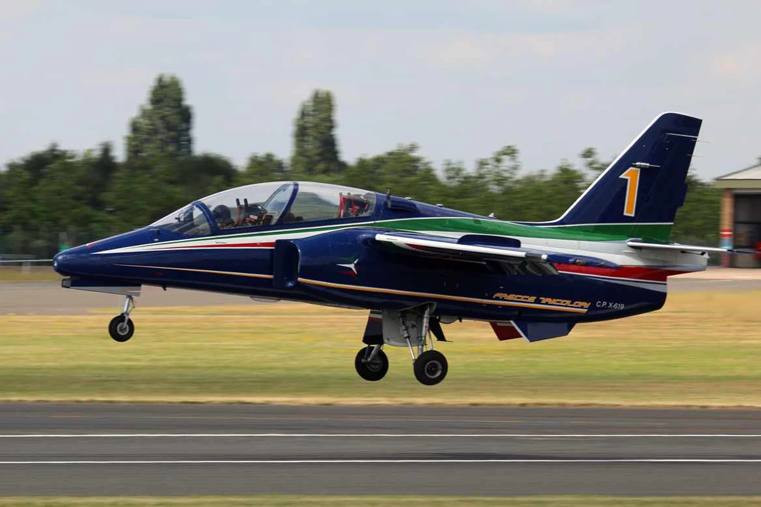 Leonardo M-345