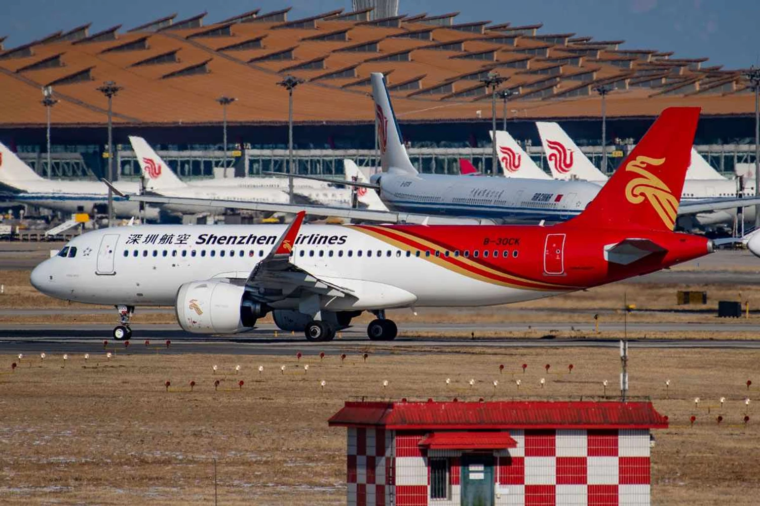 Shenzen Airlines A320neo (N509FZ/CC)