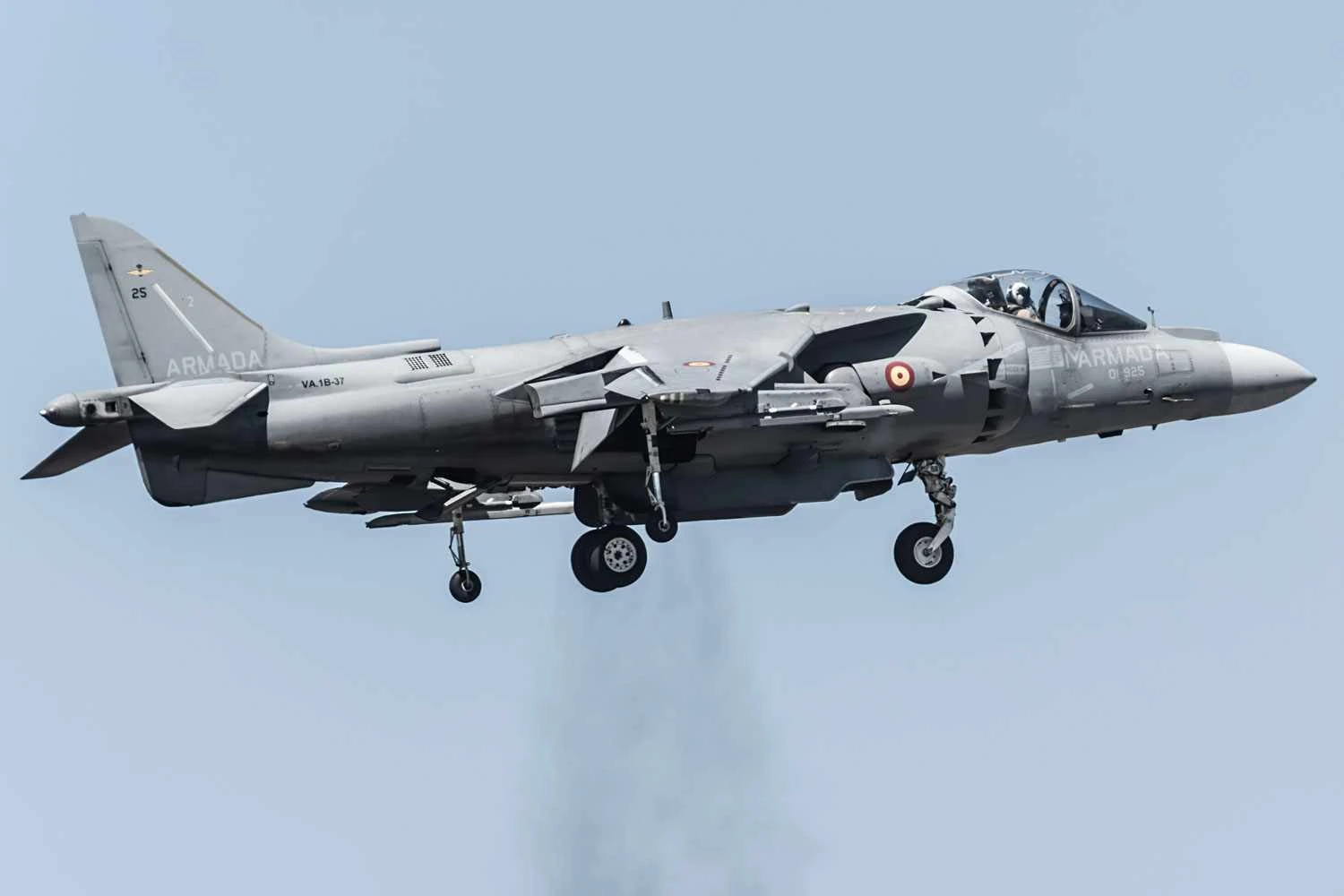 Um dos 12 AV-8B da Armada espanhola (José Luis Celada Euba/CC)