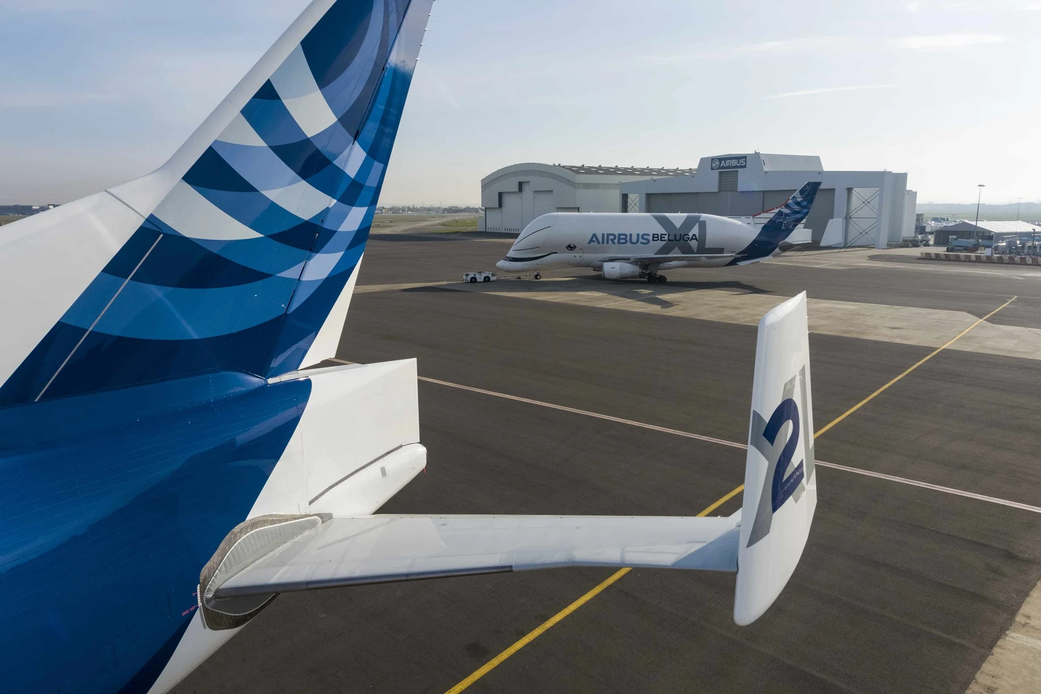 Aeronave de cargas volumosas ganhou esse nome pela semelhança com uma baleia-branca