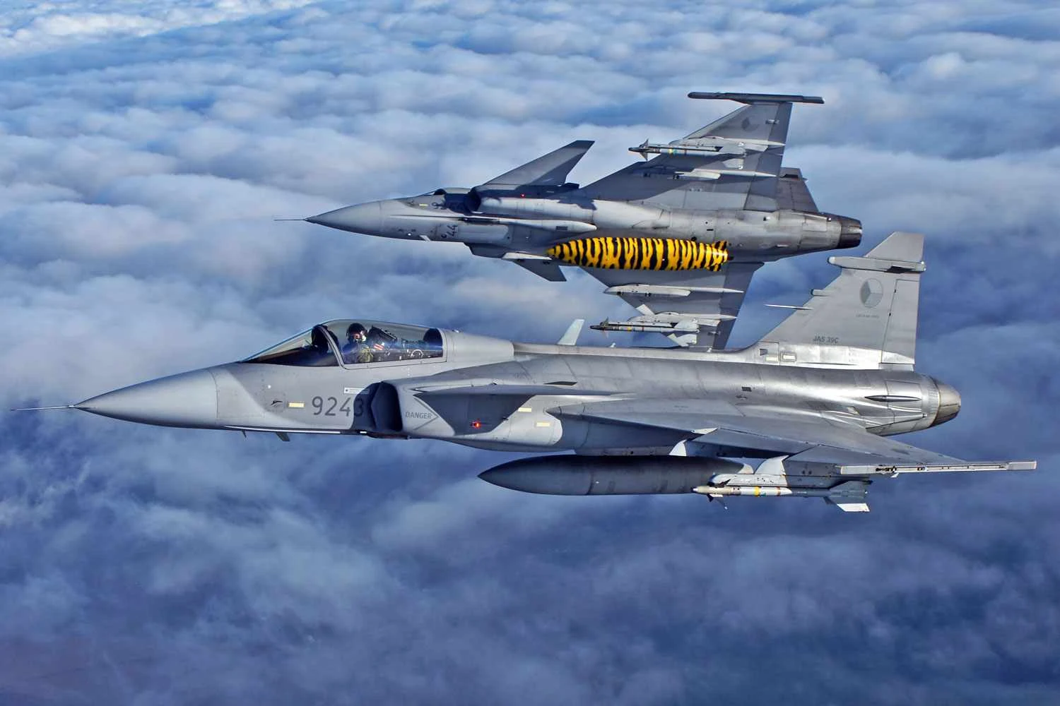 Czech Gripens (Milan Nykodym)
