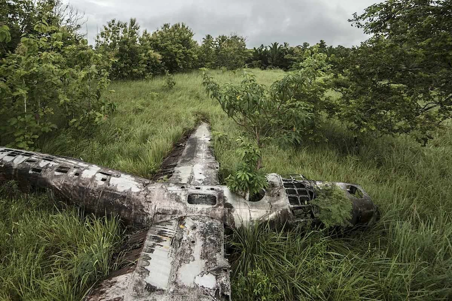 Destroços do B-24 Liberator que caiu em 1943 em Papua Nova Guiné (Foto: Dietmar Eckell)