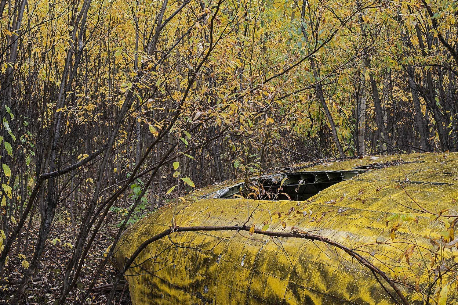 Natureza cobriu os restos do Fairchild C-119 que caiu em 1981 no Alasca (Foto: Dietmar Eckell)