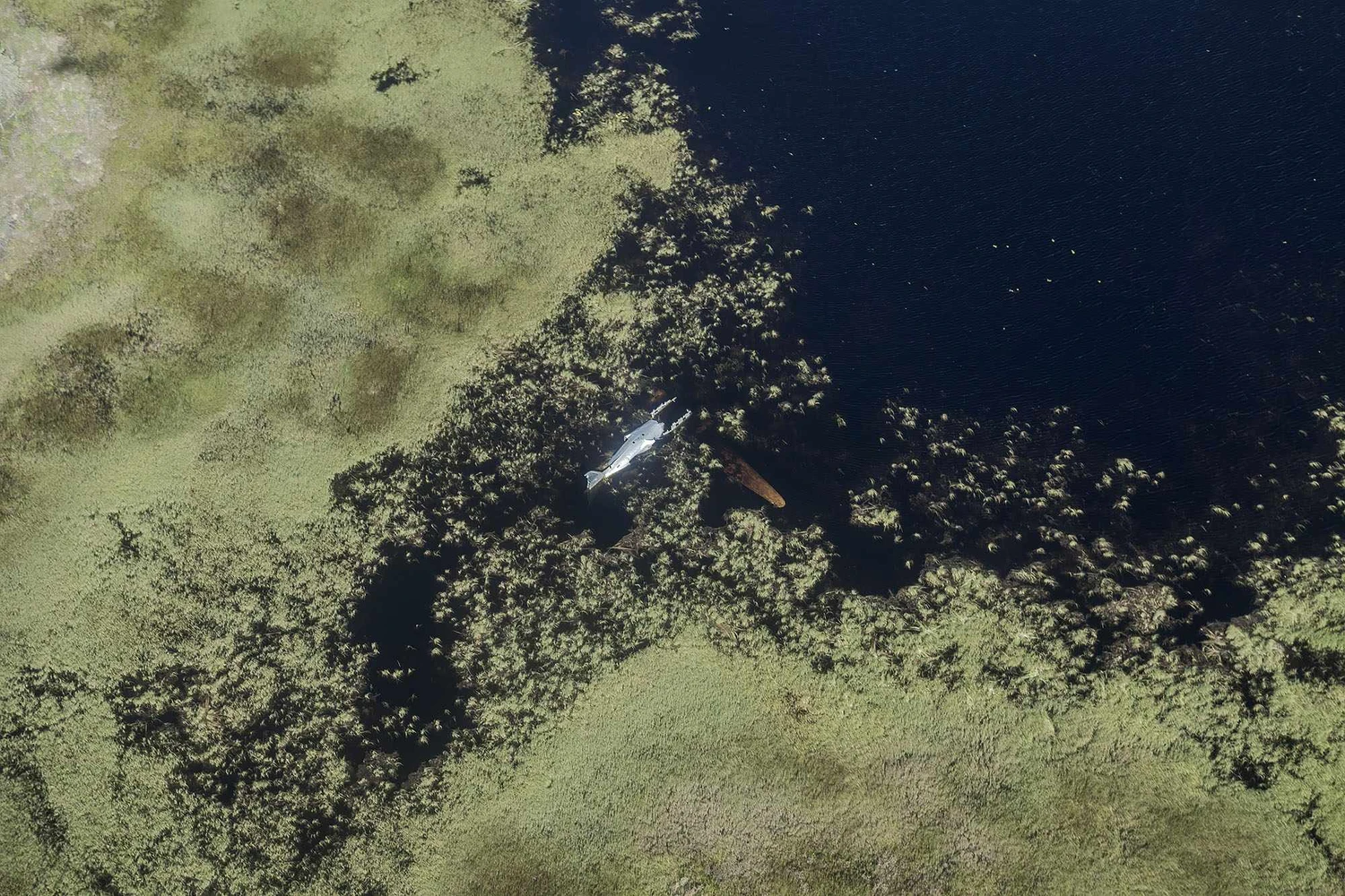 Outro Douglas C-47 caído em um pântano no Canadá (Foto: Dietmar Eckell)