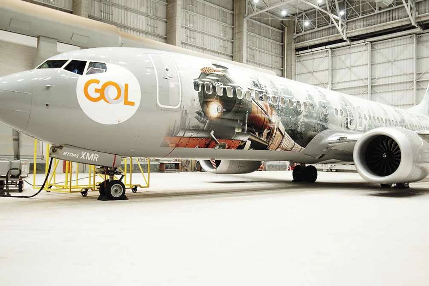 O 737 "Harry Potter": outdoor voador (Gol)
