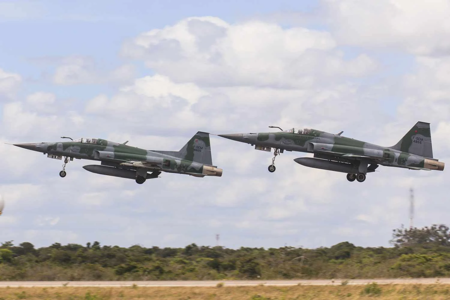 Brazilian Air Force F-5EM fighters (FAB)
