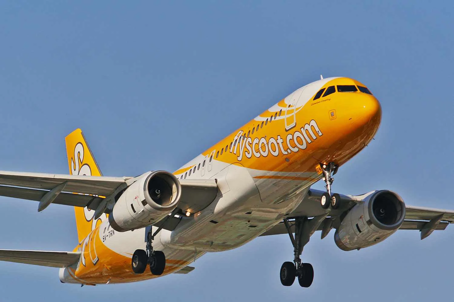Scoot Airbus A320 (湯小沅)