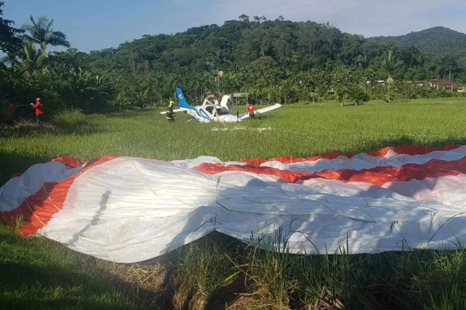Aeronave de matrícula PR-JJC após pousar em área de mata (Redes sociais)