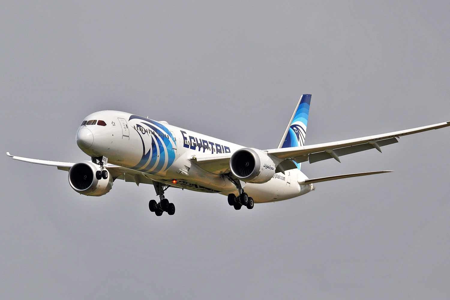 Boeing 787-9 da EgyptAir (Eirc Salard)