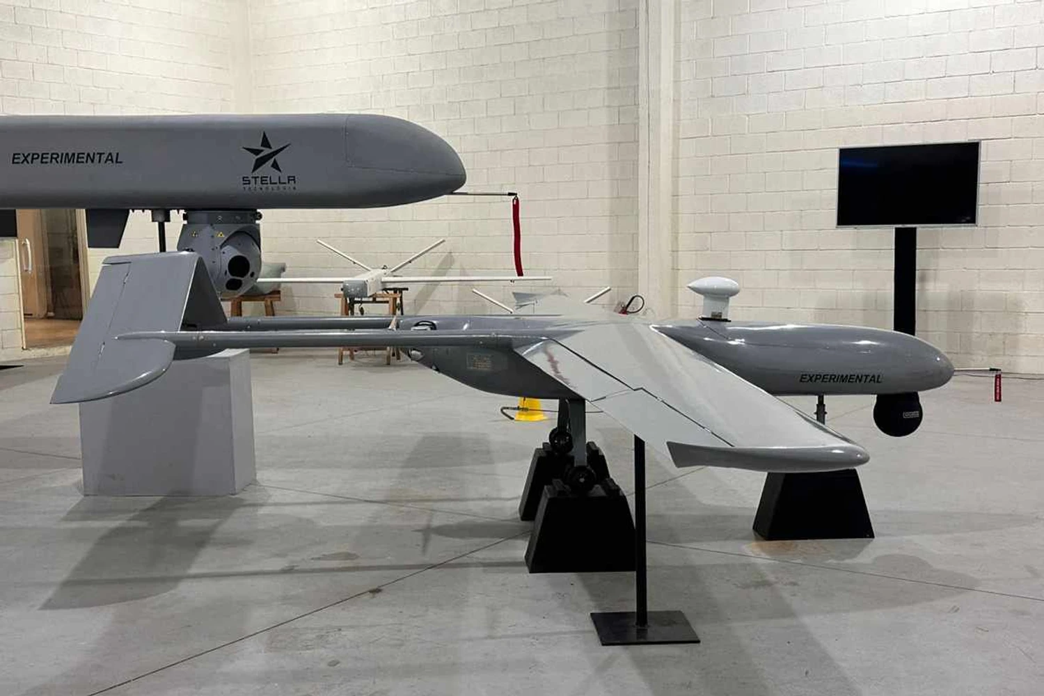 O Albatroz pode decolar com até 500 kg de peso máximo (AIRWAY)