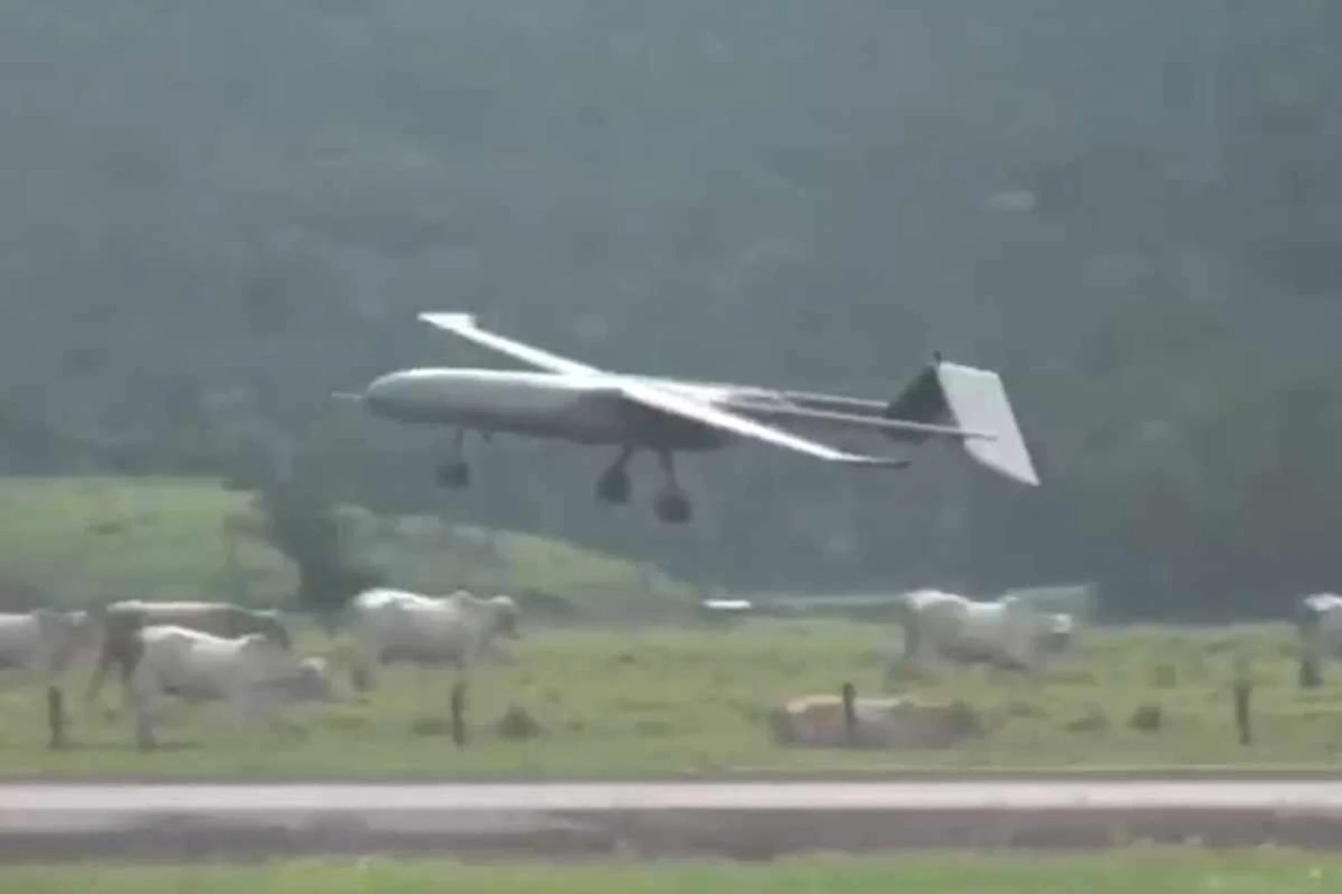 O voo do Albatroz: drone da Stella foi testado no Uruguai (Stella Tecnologia)