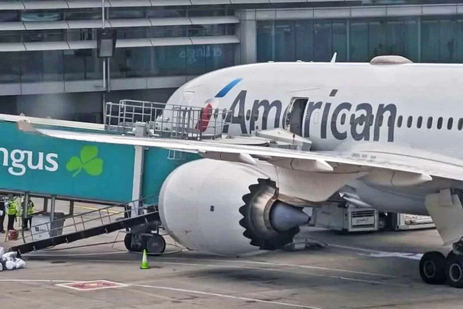 American Airlines Boeing 787 (Social media)