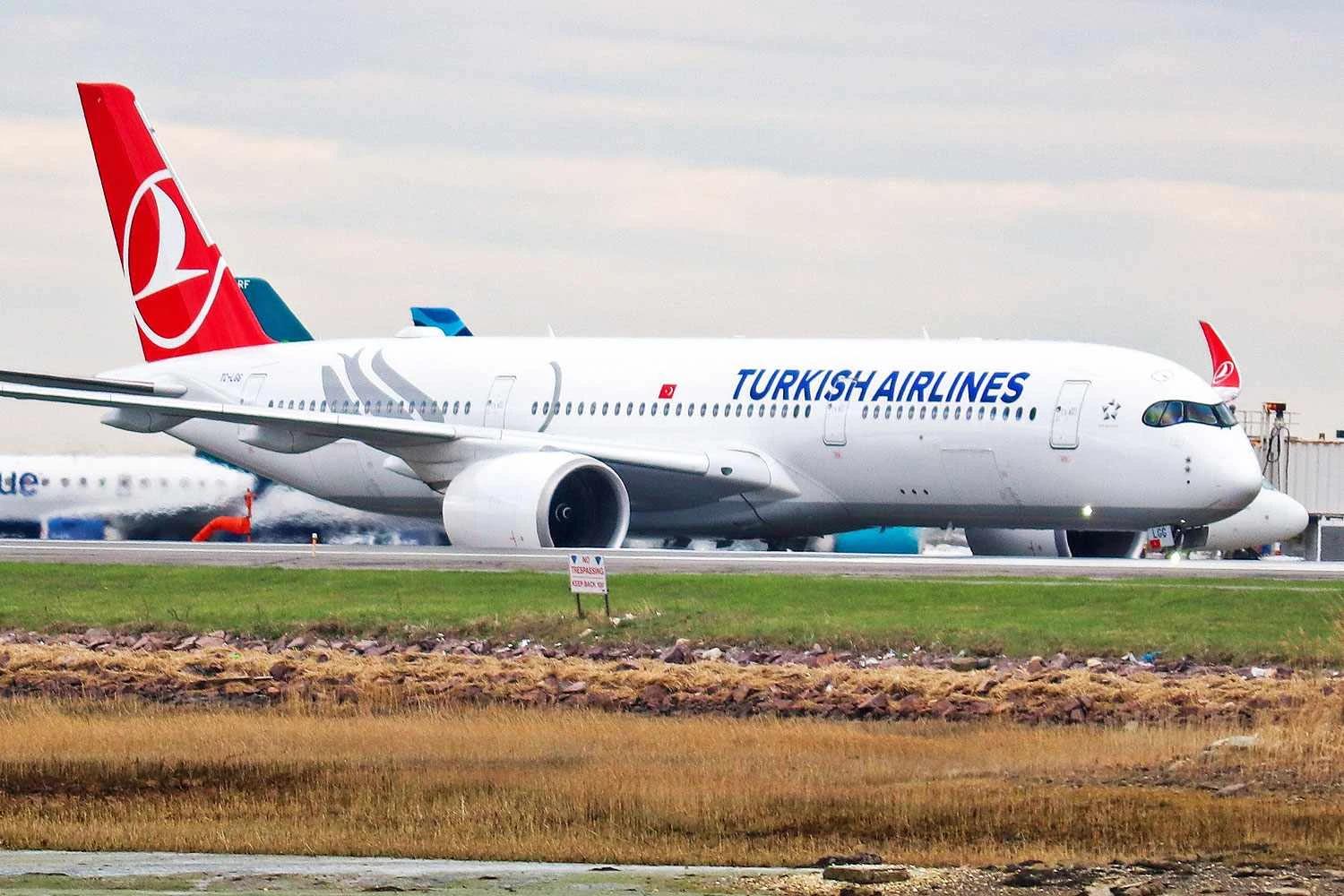 Um dos 14 A350-900 da Turkish (Tim)