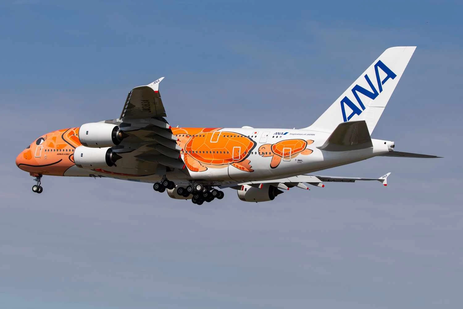 A All Nippon encomendou três A380 que são usados exclusivamente na rota Tóquio-Honolulu (Kevin Hackert)
