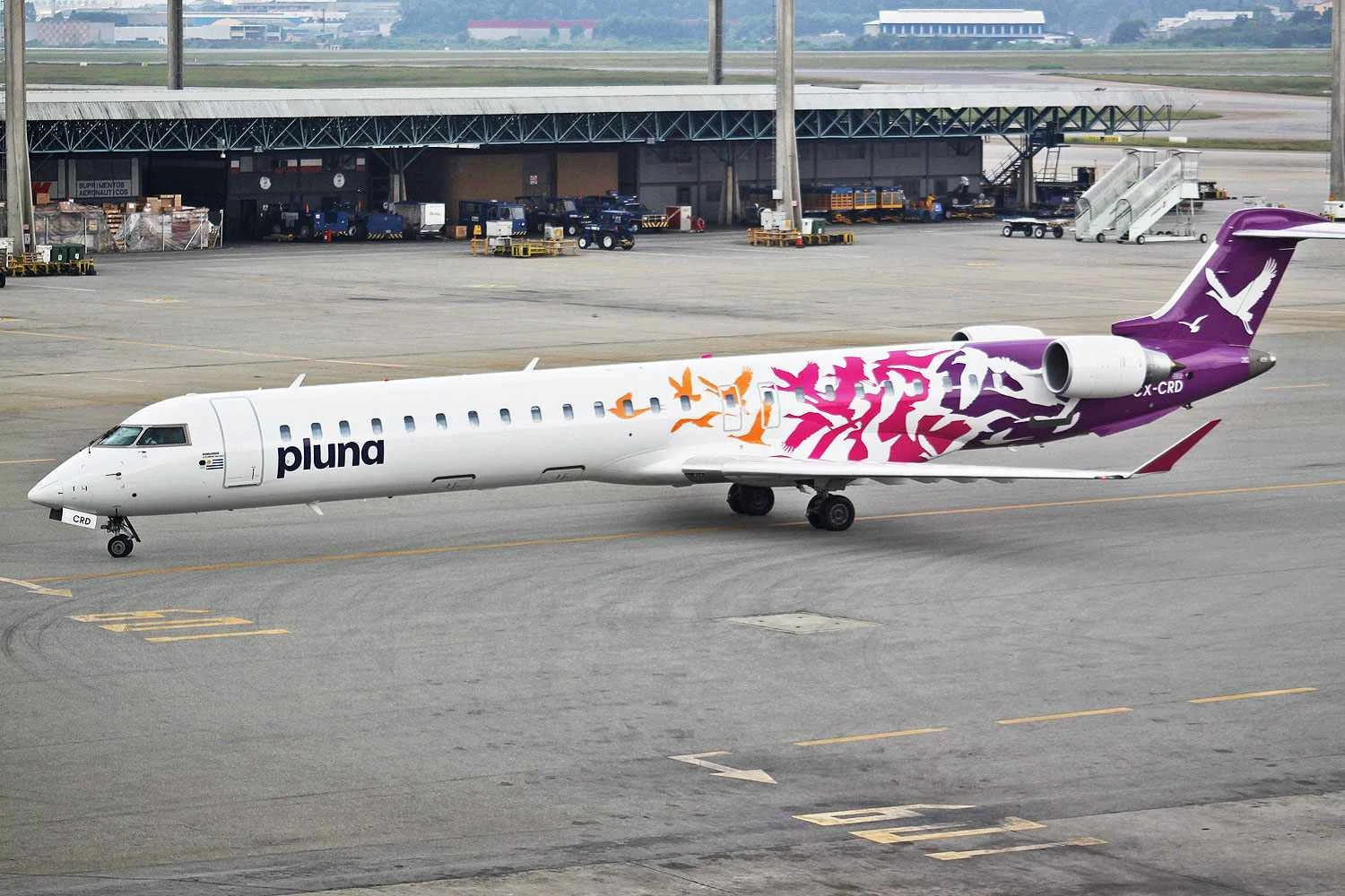 Jato CRJ-900 da Pluna (Aeroprints)
