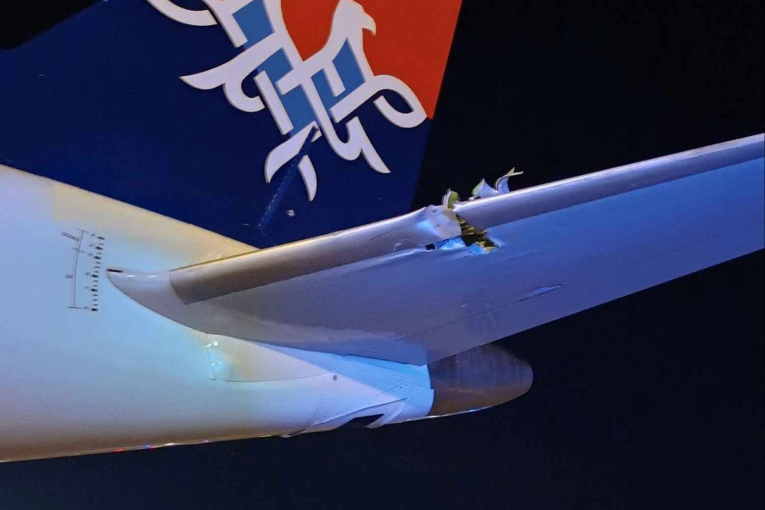 Bordo de ataque do estabilizador do E195 da Air Serbia (Reproudução)