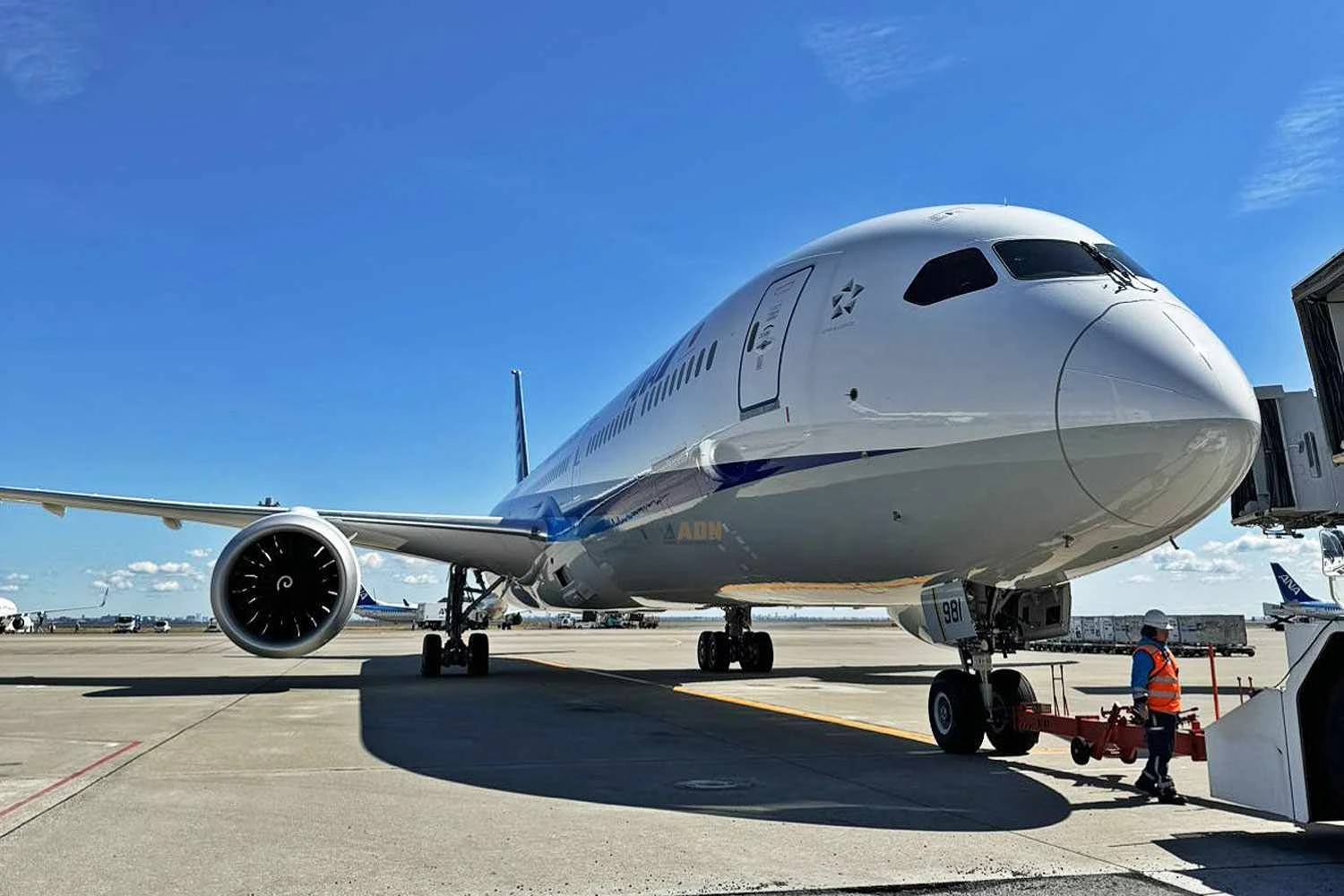 A All Nippon planeja ter 11 Boeogn 787-10 para voos dom&eacute;sticos (ANA)