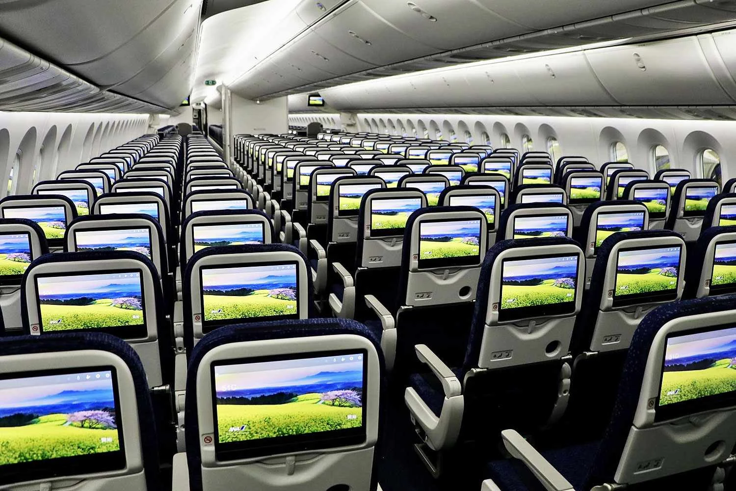 Aeronave possui duas classes, a executiva com 28 assentos e a econ&ocirc;mica com 401 (ANA)