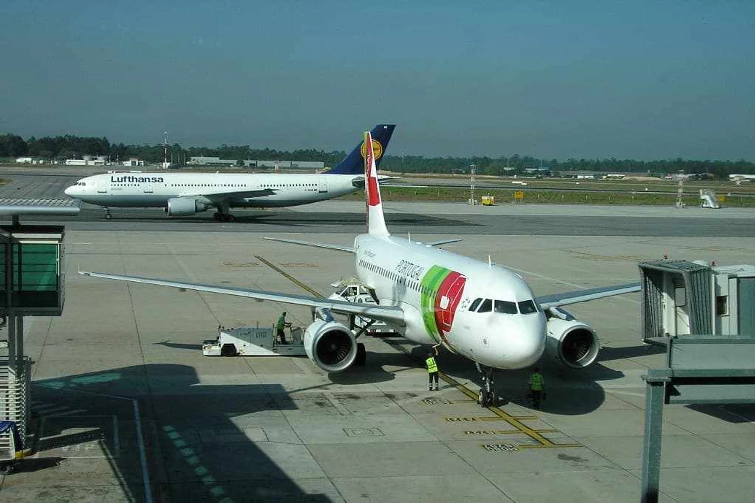 A união com a TAP seria importante para ampliar a presença na América do Sul.