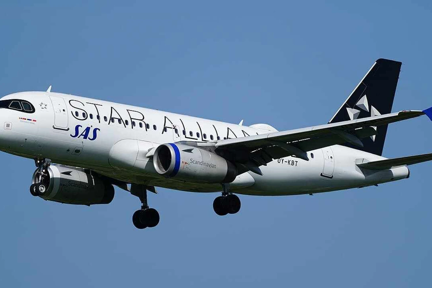 A319 da SAS com a pintura especial da Star Alliance. Foto: Reprodução.