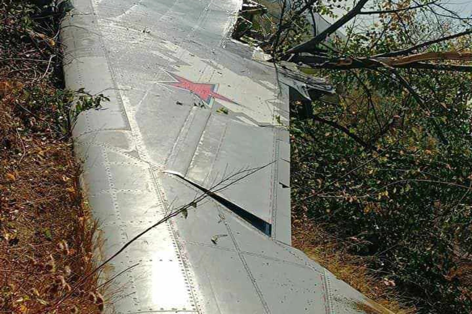 Asa esquerda do drone, que acabou caindo distante do restante da aeronave