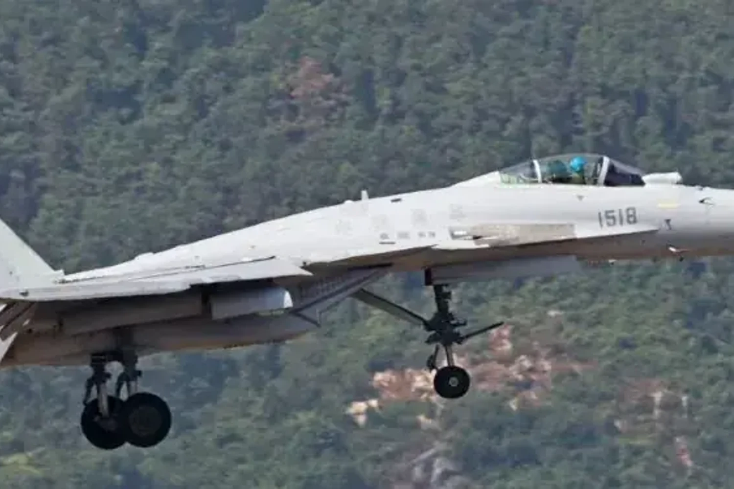 J-15D com o trem de pouso baixado. Na imagem é possível notar o engate para lançamento em catapulta.