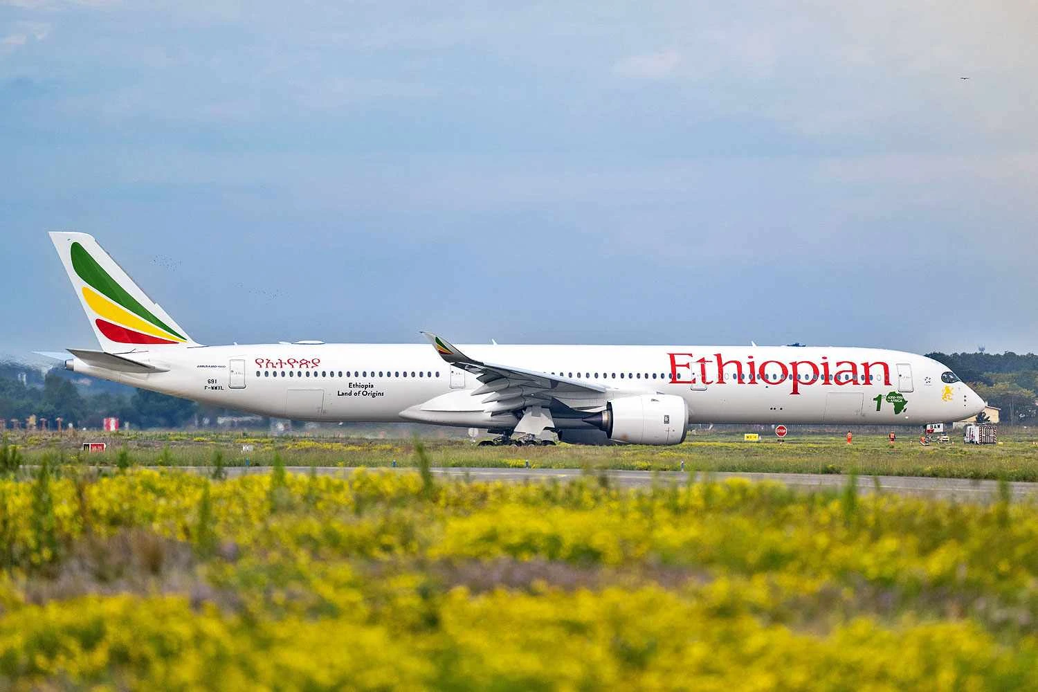Sem Embraer: Ethiopian Airlines pode ser nova cliente do Airbus A220