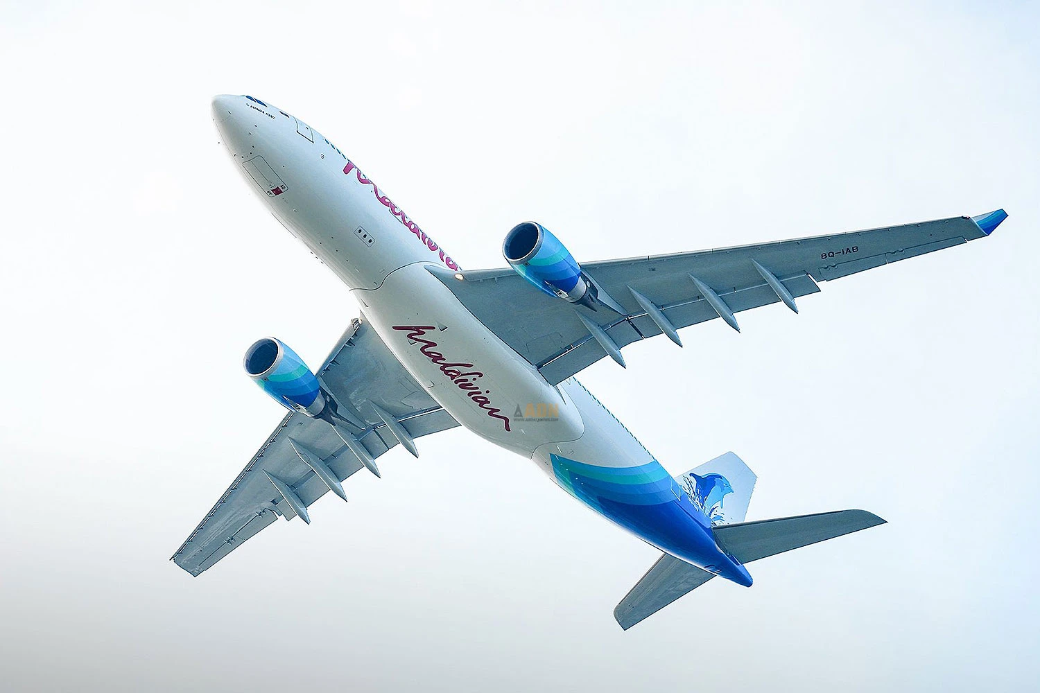 O A330-200 da Maldivian tem mais de 14 anos e estreou na KLM (GM)