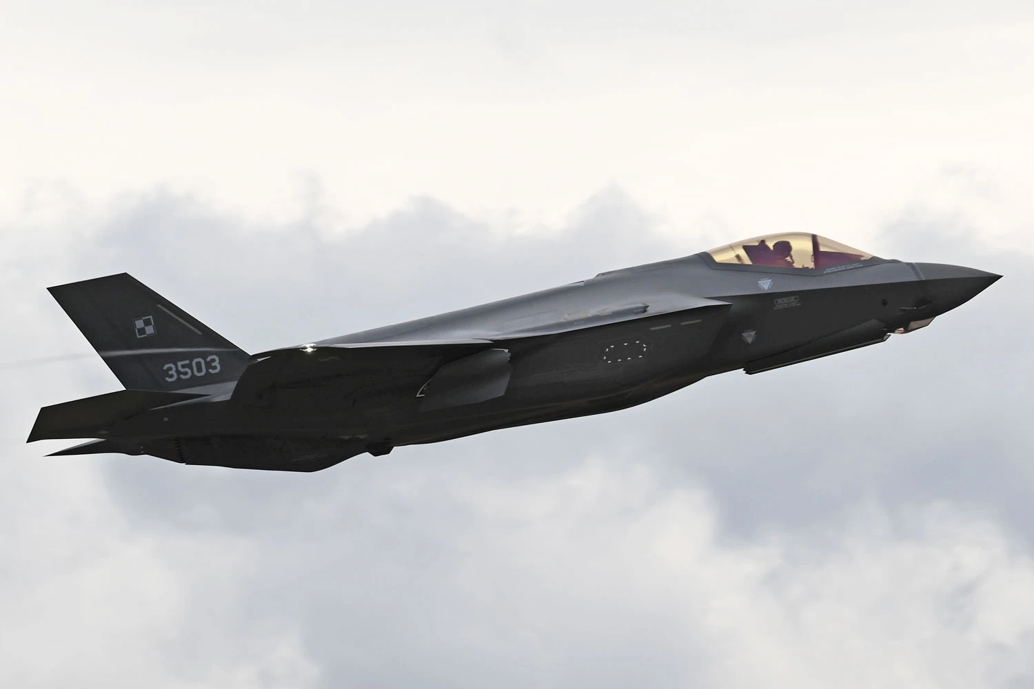 Um dos caças F-35 da Polônia que está sendo usado para treinamento nos EUA (USAF)